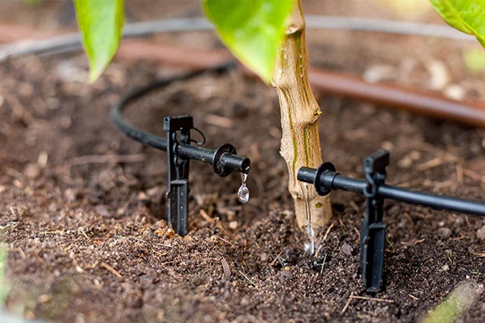 micro drip irrigation