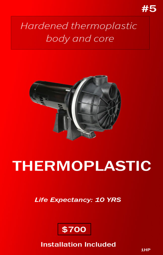 Thermoplastic pump